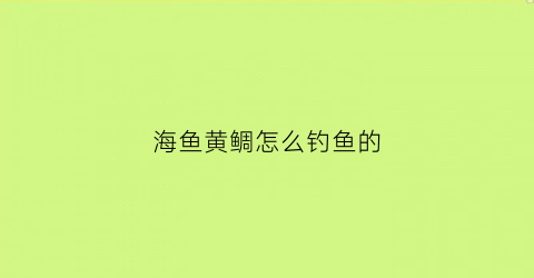 海鱼黄鲷怎么钓鱼的(黄鲷鱼怎么样钓)