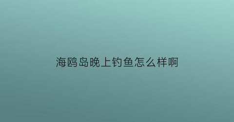 海鸥岛晚上钓鱼怎么样啊