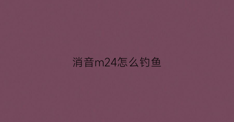 消音m24怎么钓鱼(m24消音器)