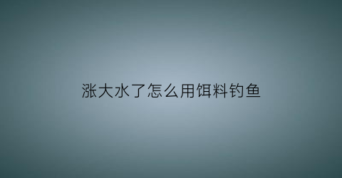涨大水了怎么用饵料钓鱼(涨大水了怎么用饵料钓鱼呢)