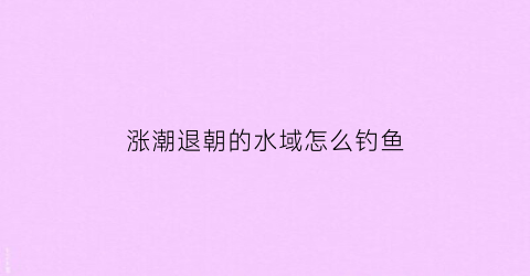 “涨潮退朝的水域怎么钓鱼(涨潮退潮的水去哪里了)