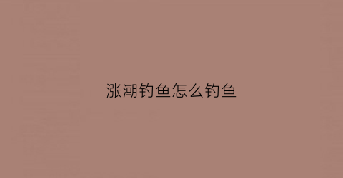 涨潮钓鱼怎么钓鱼