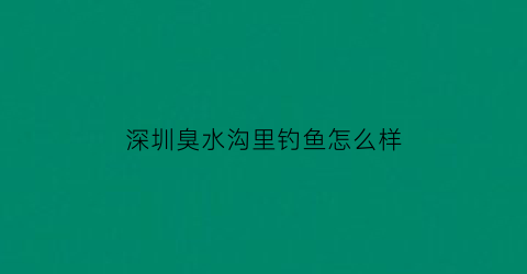 “深圳臭水沟里钓鱼怎么样(臭水沟可以钓鱼吗)