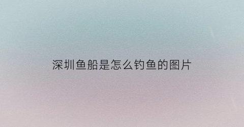 深圳鱼船是怎么钓鱼的图片