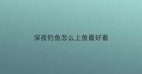 深夜钓鱼怎么上鱼最好看