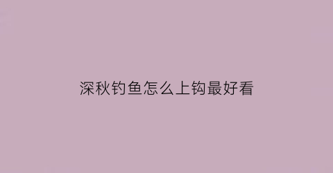 “深秋钓鱼怎么上钩最好看(深秋怎样钓鱼用什么饵料)