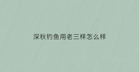 深秋钓鱼用老三样怎么样