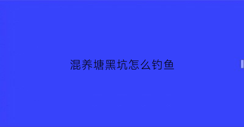 混养塘黑坑怎么钓鱼