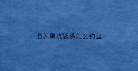 混养黑坑翘嘴怎么钓鱼(黑坑钓翘嘴鱼怎么钓)