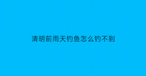 清明前雨天钓鱼怎么钓不到