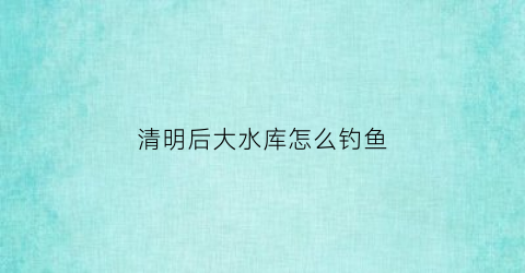 清明后大水库怎么钓鱼(清明节前后水库夜钓)