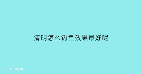 清明怎么钓鱼效果最好呢