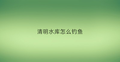 清明水库怎么钓鱼(清明节水库夜钓)