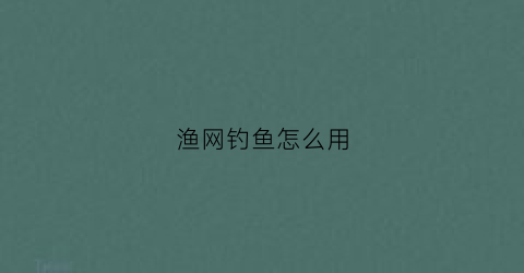 渔网钓鱼怎么用