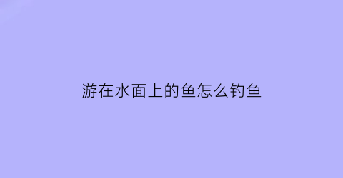 游在水面上的鱼怎么钓鱼