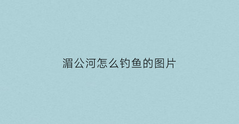 湄公河怎么钓鱼的图片(湄公河里面的鱼)