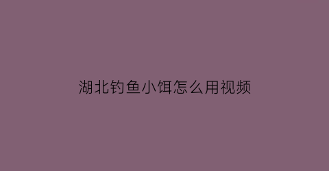 湖北钓鱼小饵怎么用视频(湖北游钓饵料)