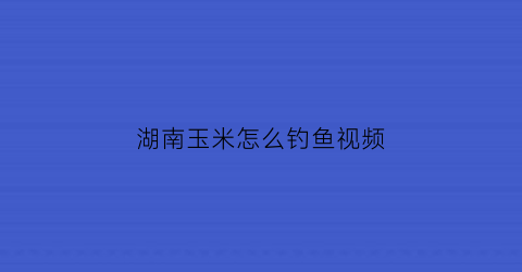 湖南玉米怎么钓鱼视频