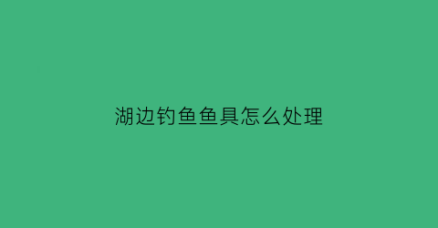 湖边钓鱼鱼具怎么处理(湖面钓鱼)