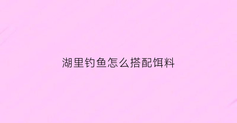 湖里钓鱼怎么搭配饵料(湖里面怎么钓大鱼)