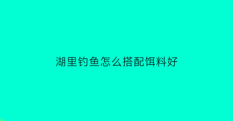 湖里钓鱼怎么搭配饵料好(湖里钓鱼怎么搭配饵料好看)