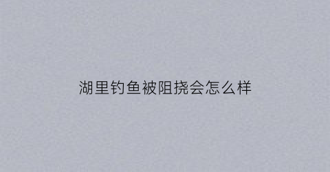 湖里钓鱼被阻挠会怎么样(湖里钓鱼被阻挠会怎么样吗)
