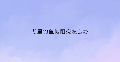 湖里钓鱼被阻挠怎么办(湖边钓鱼3)