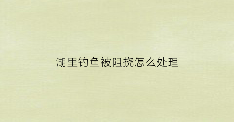 湖里钓鱼被阻挠怎么处理(湖里钓鱼被阻挠怎么处理的)