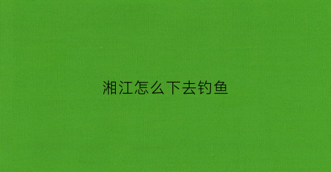 湘江怎么下去钓鱼(在湘江钓鱼用什么饵料)
