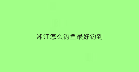 湘江怎么钓鱼最好钓到(湘江可以钓鱼吗2020)