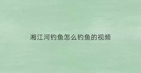 湘江河钓鱼怎么钓鱼的视频(2021湘江河可以钓鱼吗)