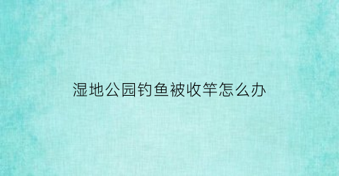 湿地公园钓鱼被收竿怎么办(在湿地公园钓鱼)