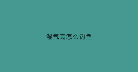 湿气高怎么钓鱼(夜钓湿气重)