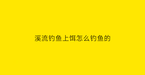 溪流钓鱼上饵怎么钓鱼的(溪流钓用饵)