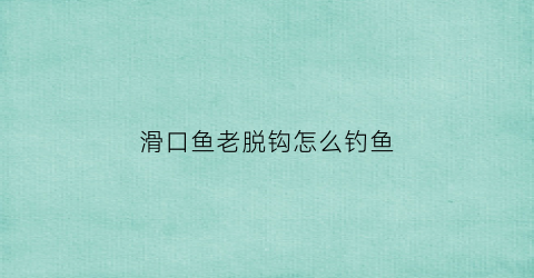 滑口鱼老脱钩怎么钓鱼(滑口鱼钓法)