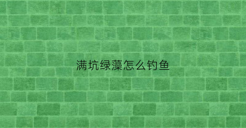 满坑绿藻怎么钓鱼(满坑绿藻怎么钓鱼最好)