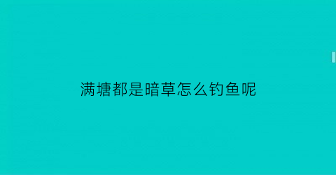 满塘都是暗草怎么钓鱼呢(满塘都是暗草怎么钓鱼呢)