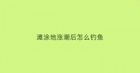 “滩涂地涨潮后怎么钓鱼(涨潮的滩涂可以路亚吗)