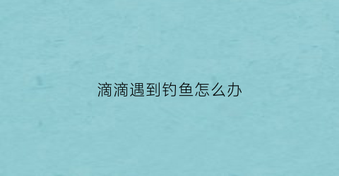 “滴滴遇到钓鱼怎么办(跑滴滴被钓鱼执法可以打12345举报吗)