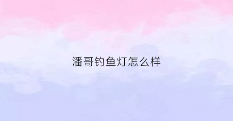 潘哥钓鱼灯怎么样