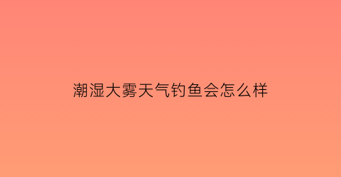 “潮湿大雾天气钓鱼会怎么样(大雾影响钓鱼吗)