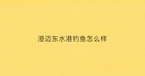 澄迈东水港钓鱼怎么样(海南澄迈东水渔港码头)