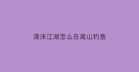 “濡沫江湖怎么在嵩山钓鱼(濡沫江湖在嵩山寻找刺客)