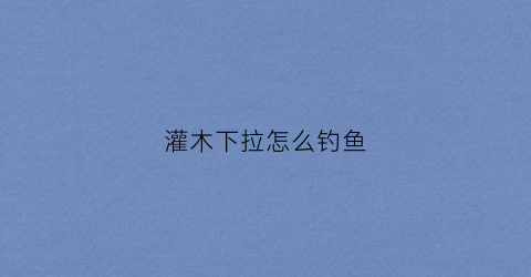 灌木下拉怎么钓鱼(灌木下面种什么)