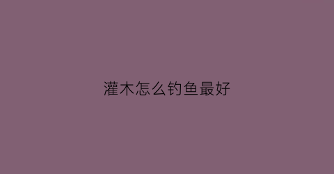 “灌木怎么钓鱼最好(灌木怎么种好看)