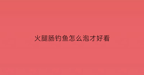 “火腿肠钓鱼怎么泡才好看(火腿肠钓鱼有奇效不试不知道)