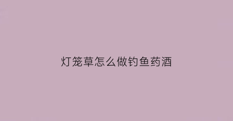 灯笼草怎么做钓鱼药酒(灯笼草钓鱼怎么挂钩)
