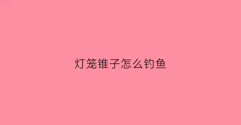 灯笼锥子怎么钓鱼(灯笼坠钓鱼使用方法)
