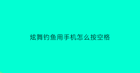 炫舞钓鱼用手机怎么按空格(qq炫舞钓鱼图鉴攻略)