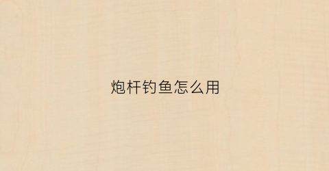 炮杆钓鱼怎么用(炮杆钓鱼怎么用最好)